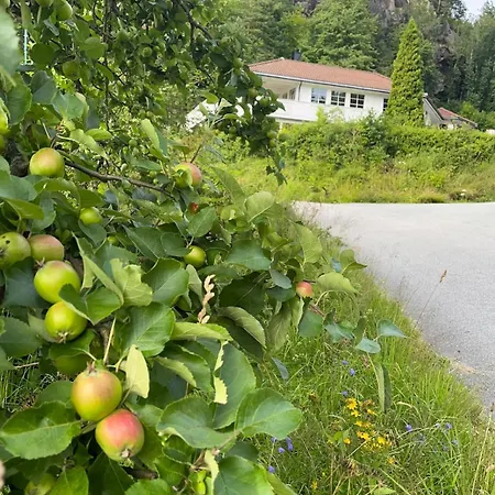 Διαμέρισμα Seaside At Holmen