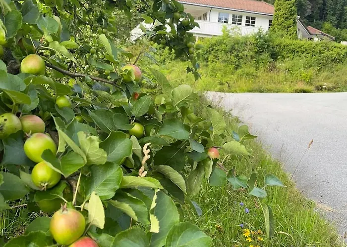 Apartman Seaside At Holmen